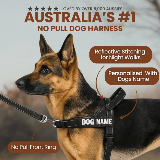 Mypawz™ NoPull Pro Harness