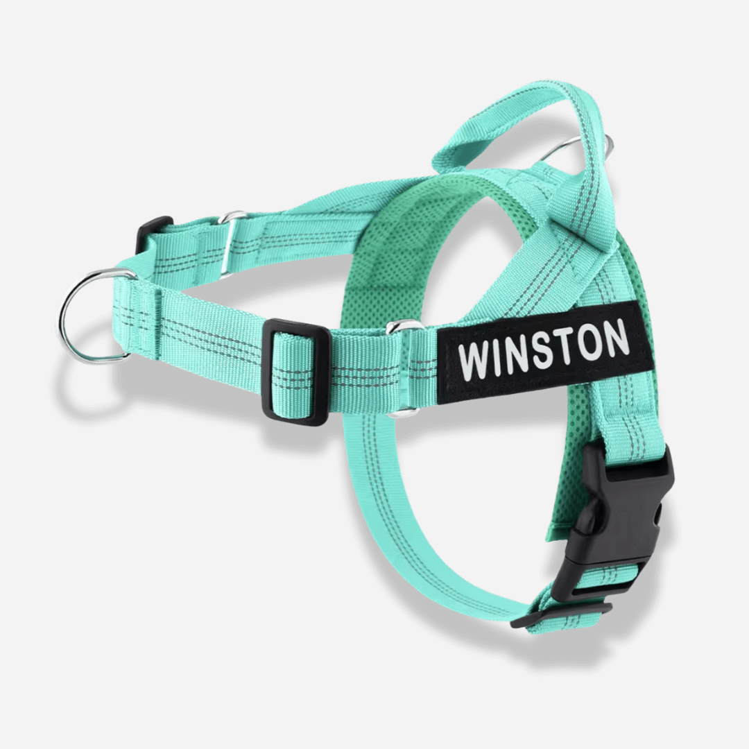 Mypawz™ NoPull Pro Harness