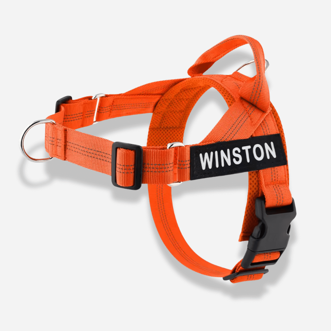 Mypawz™ NoPull Pro Harness