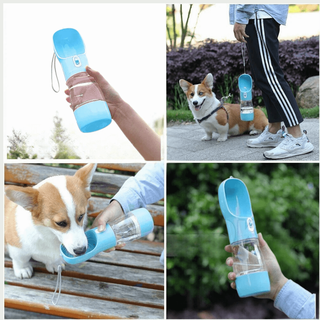 Mypawz™ HydrateGo Bottle