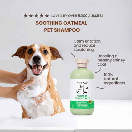mypawz™ Soothing Oatmeal Shampoo