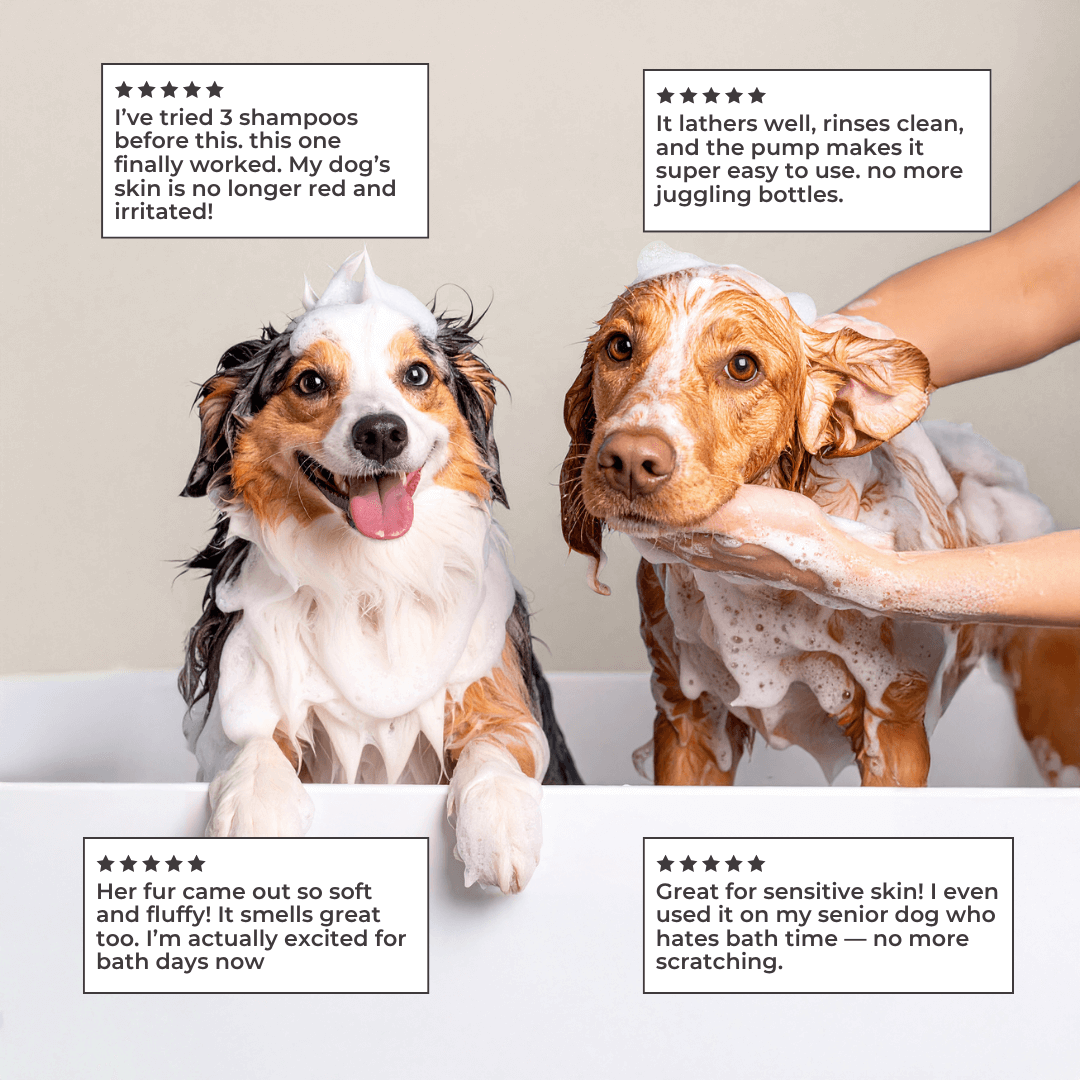 mypawz™ Soothing Oatmeal Shampoo