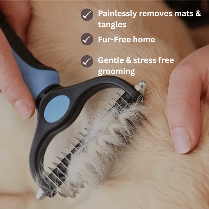 The mypawz™ Groom & Glow Kit
