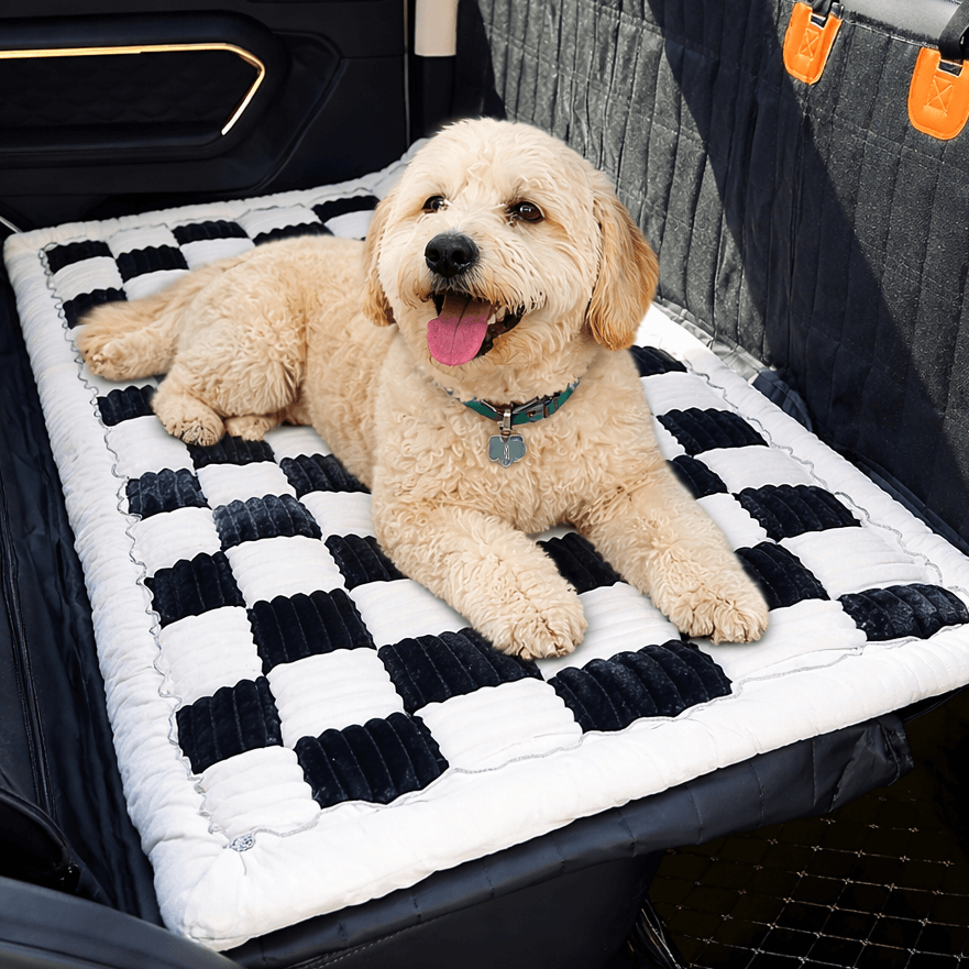 <p>Real Pet Parents, Real Reviews!</p>