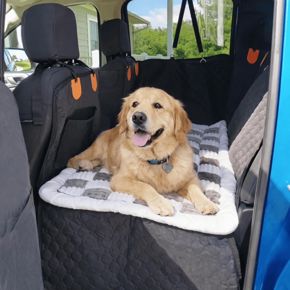 <p>Real Pet Parents, Real Reviews!</p>