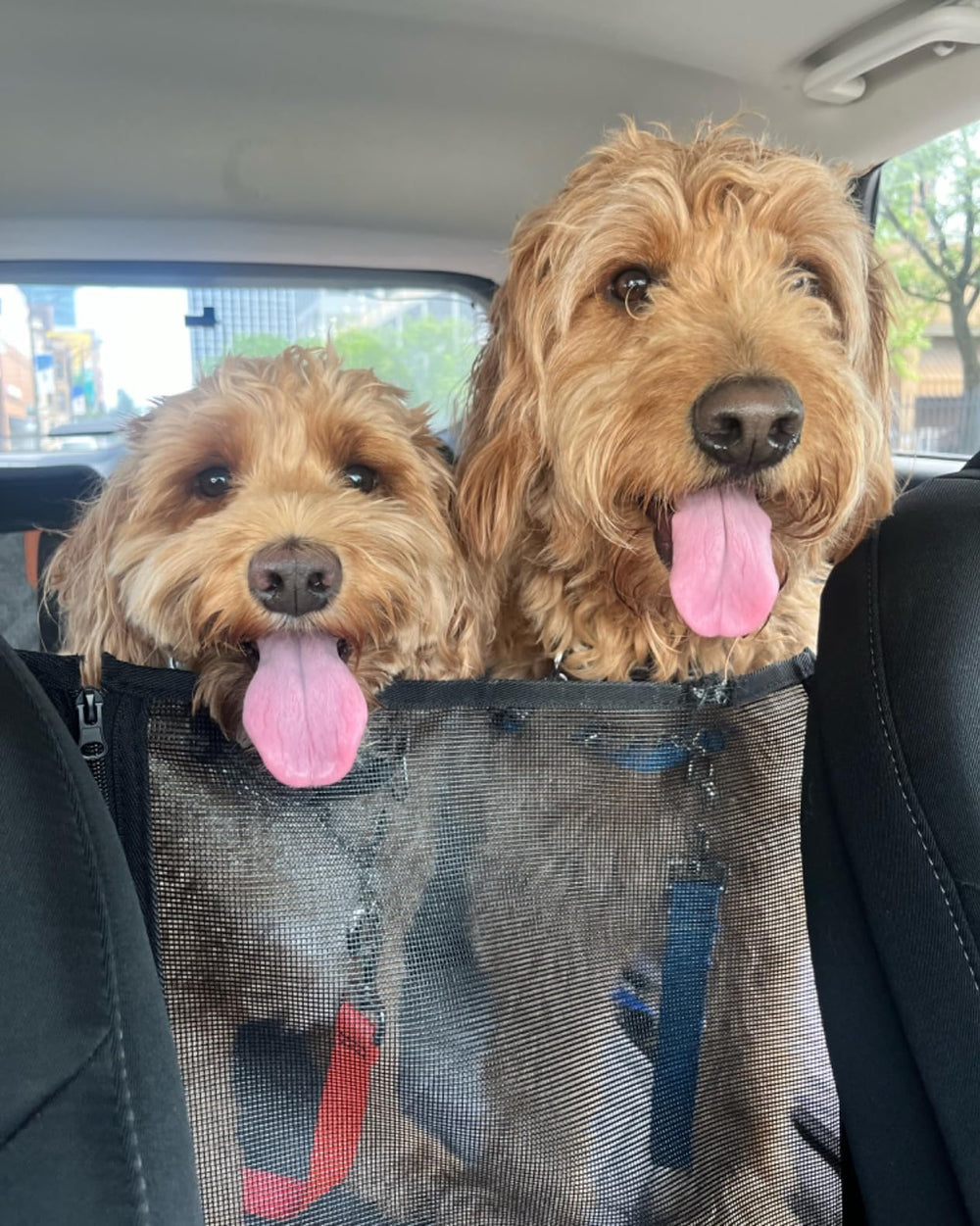 <h2>Loved by everyone, everywhere. Don't miss out.</h2>