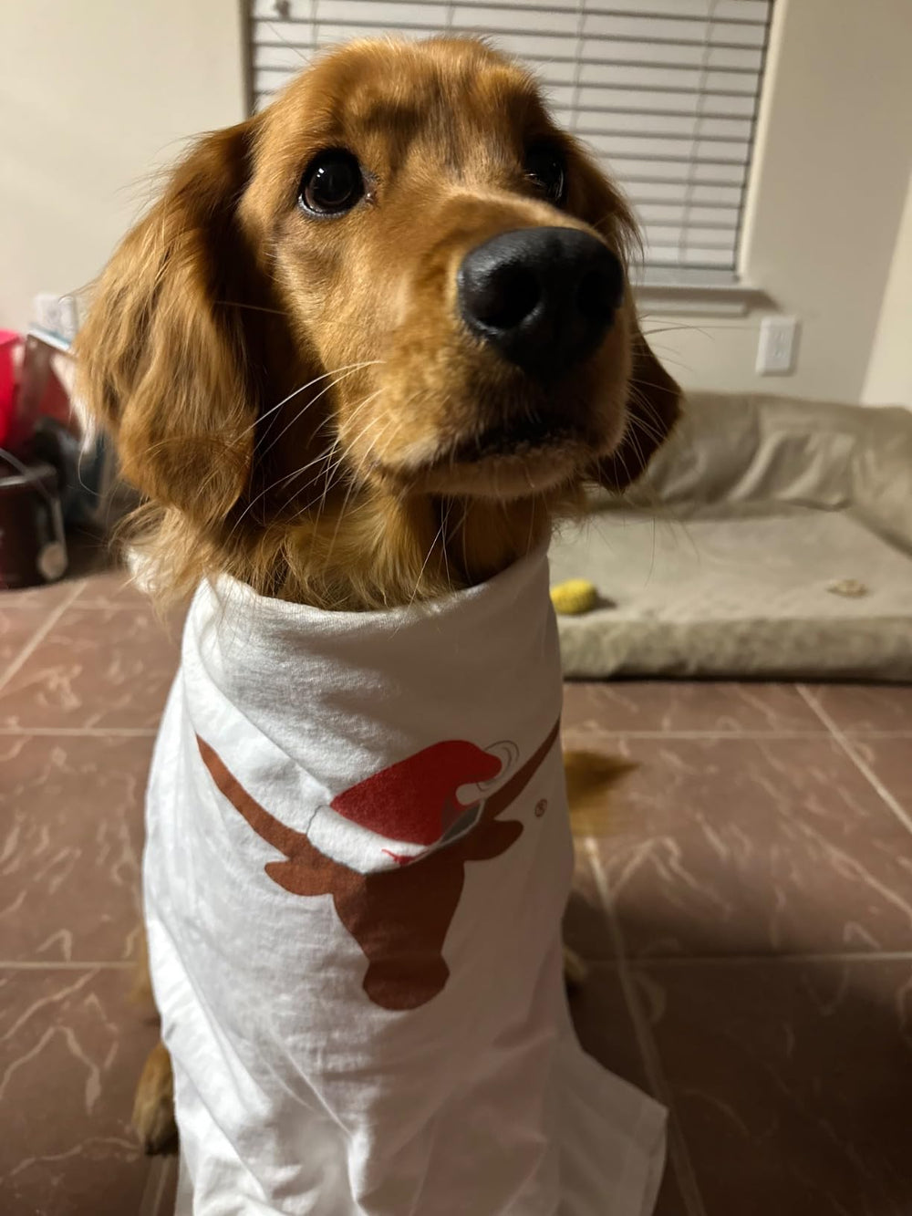 <p>Loved by over 5,000 Pet Parents!</p>