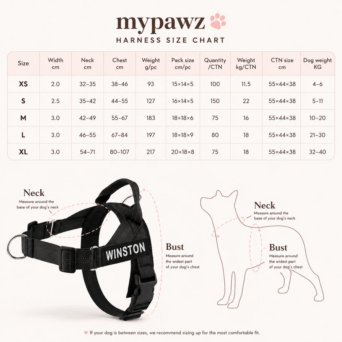 woman crouching beside her labrador in a park, holding a slack lead clipped to the black mypawz nopull pro harness