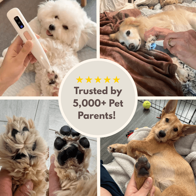 Pawfect Trimmer™