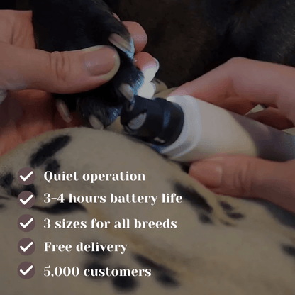 The mypawz™ Groom & Glow Kit