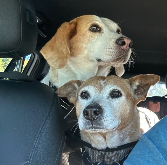 <h2>Loved by everyone, everywhere. Don't miss out.</h2>