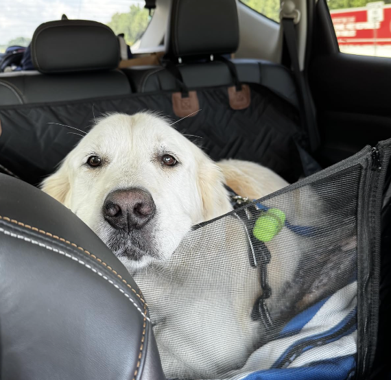 <h2>Loved by everyone, everywhere. Don't miss out.</h2>