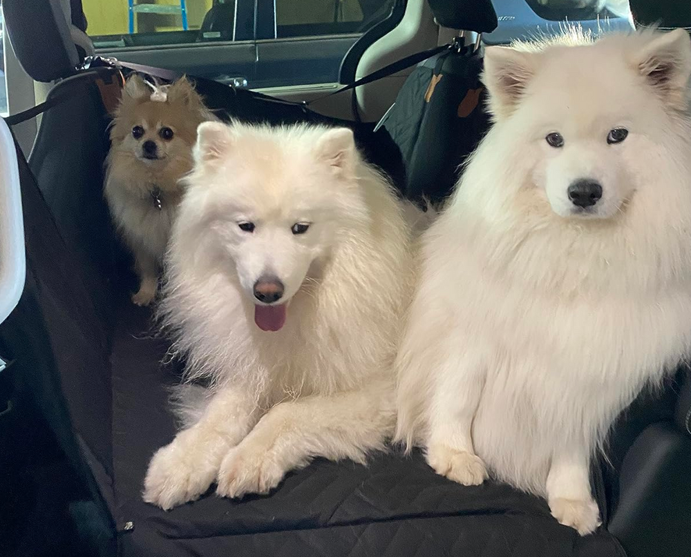 <h2>Loved by everyone, everywhere. Don't miss out.</h2>