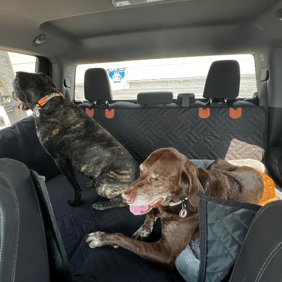 <h2>Loved by everyone, everywhere. Don't miss out.</h2>