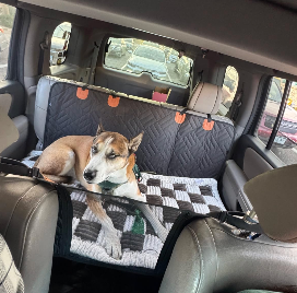 <h2>Loved by everyone, everywhere. Don't miss out.</h2>