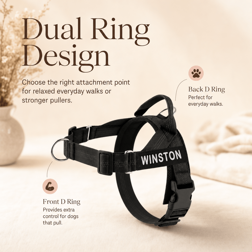 dual ring design on the mypawz nopull pro harness, front d ring for pullers and back d ring for everyday walks