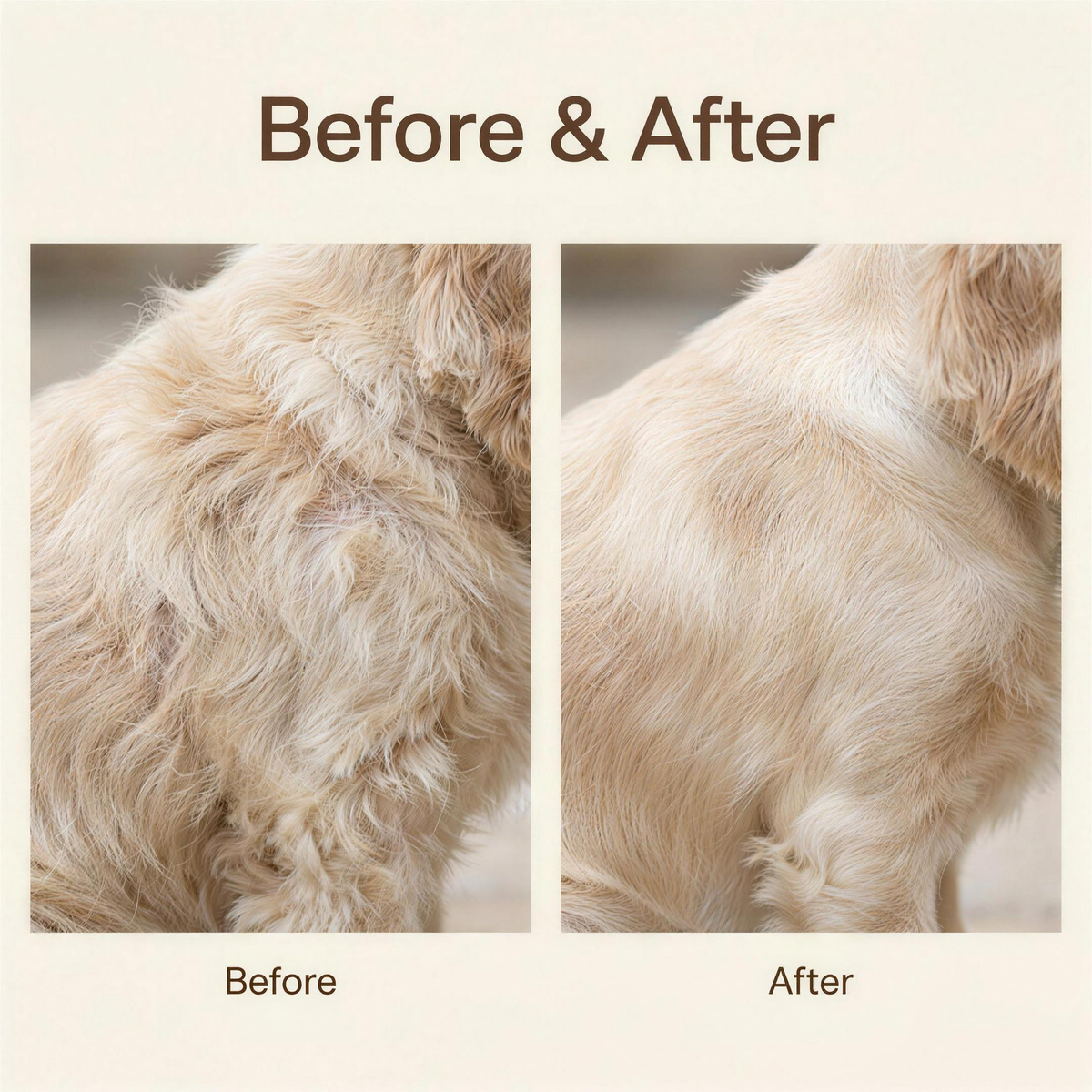before and after of a dog's coat, dry and dull then soft and settled after washing with oatmeal shampoo