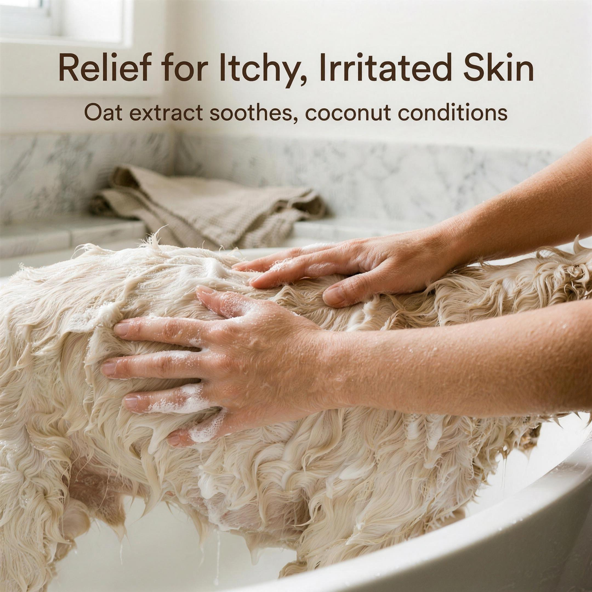 hands working oatmeal shampoo lather down to the skin of a cocker spaniel to soothe itchy irritated skin