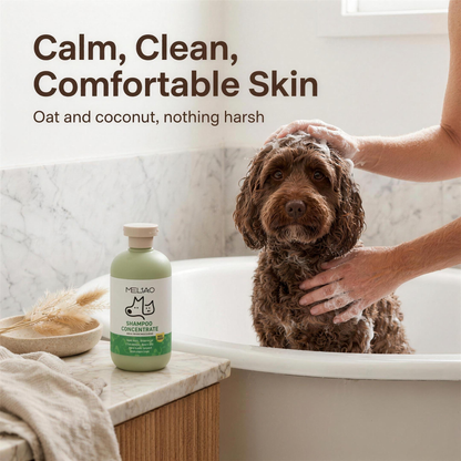 cavoodle being lathered calmly in the bath with mypawz soothing oatmeal shampoo on the ledge beside